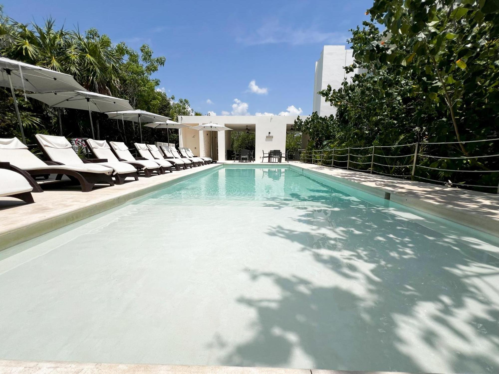 Apartment Coastal Paradise In South *