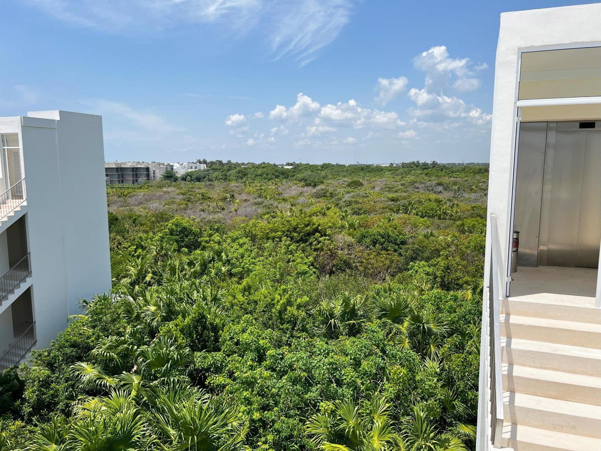 Apartment Coastal Paradise In South *