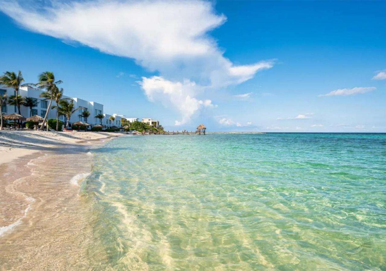 Apartment Coastal Paradise In South